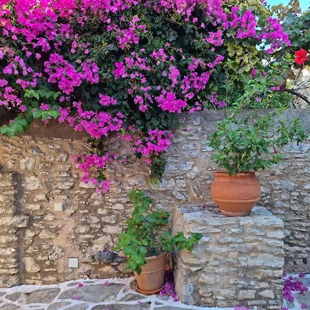 Symi Village House *